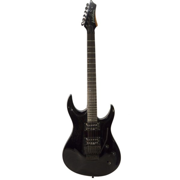 Washburn XMPRO2F-RPB