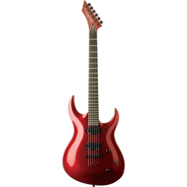 Washburn WM24 MR