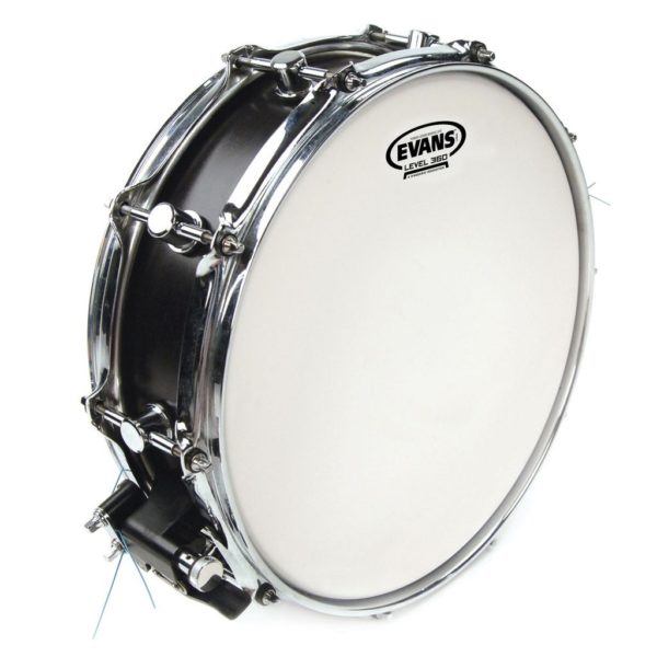 Evans B12G1RD