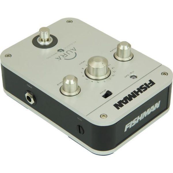 Fishman PRO-AIP-T01