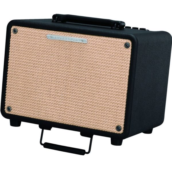 Ibanez T30-U Troubadour Acoustic Combo