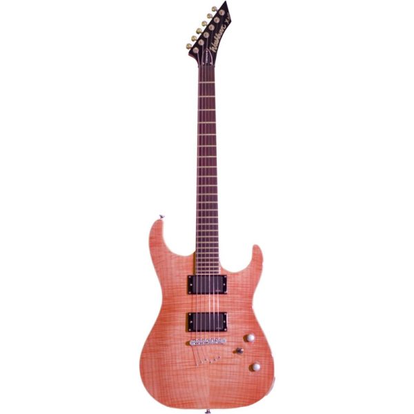Washburn X50PROFE N