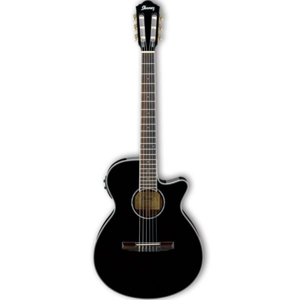 Ibanez AEG10NII-BK