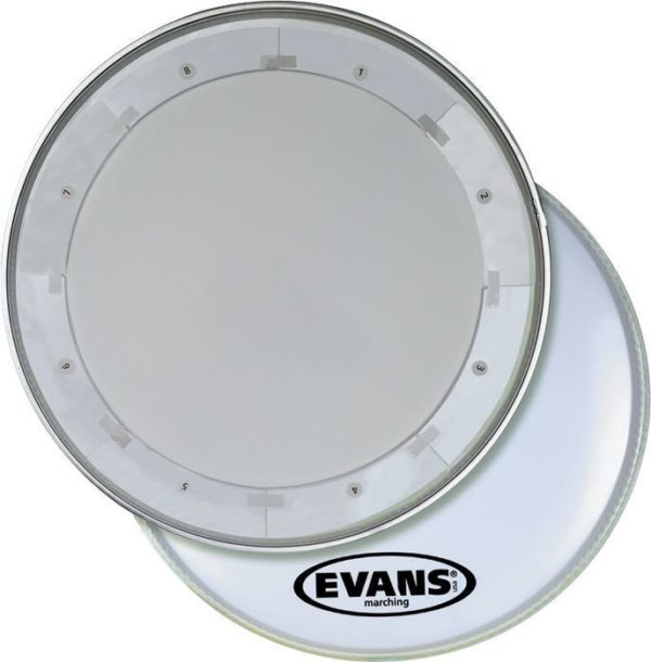 Evans BD24MX1W