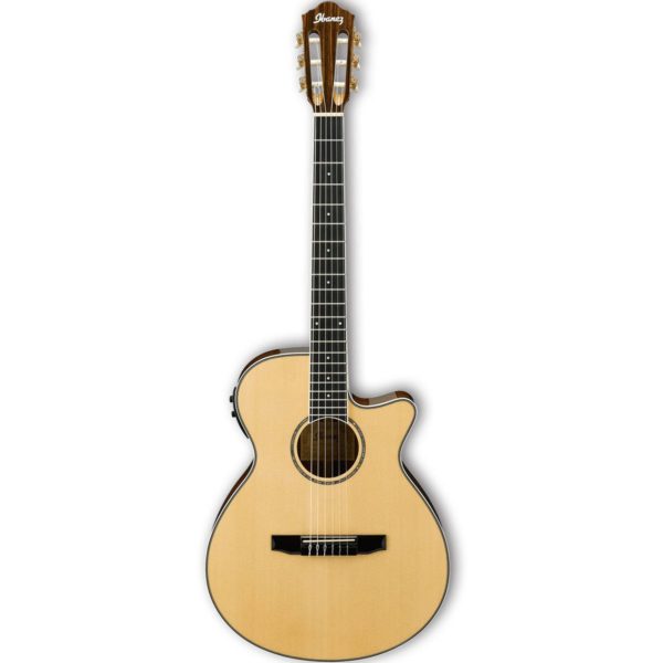 Ibanez AEG10NII-NT
