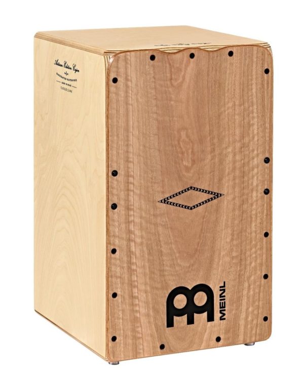 Meinl AETLLE