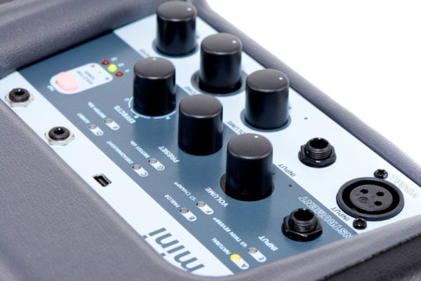 Fender Passport Mini — изображение 6