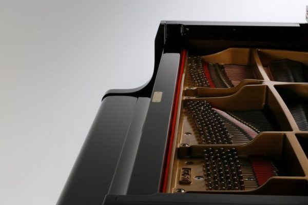 Kawai GL30 M/ PEP — изображение 3
