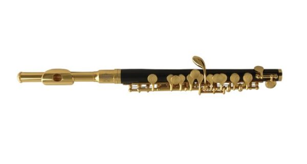 Wisemann DPL-300