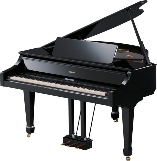 Roland GP-7-PE