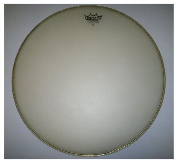Remo RA-1022-SS