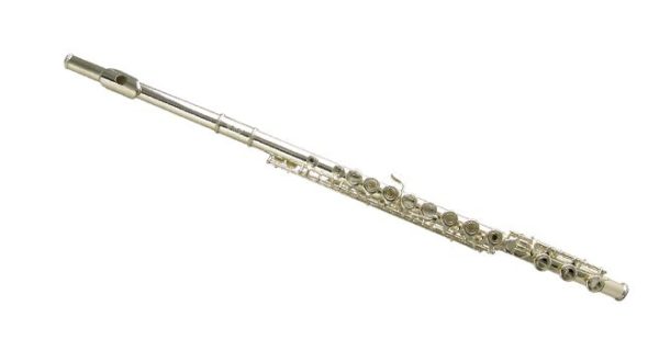 Wisemann DFL-600SSH