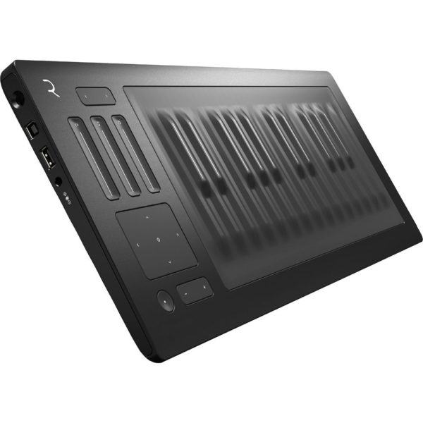 Roli RISE 25