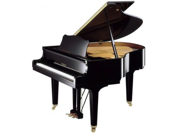 Yamaha DGC2E3PE