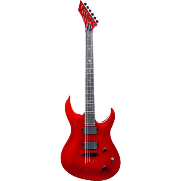 Washburn WM24PROE MR