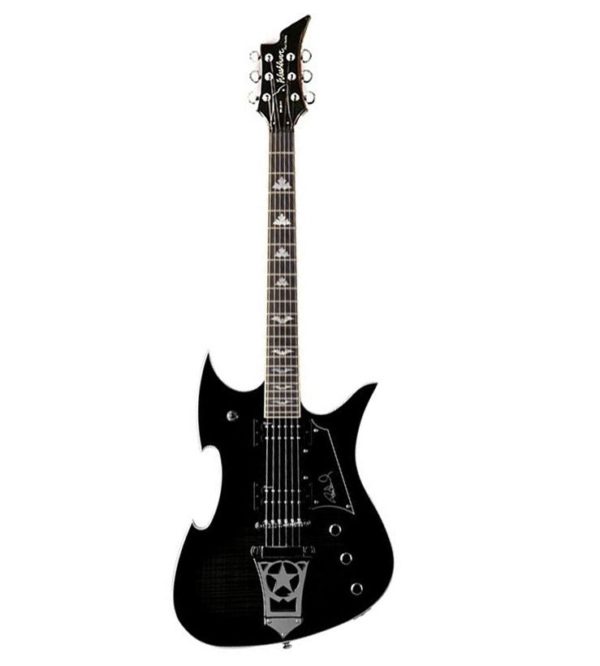 Washburn PS600B(К)