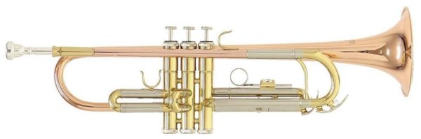 ROY BENSON TR-202G