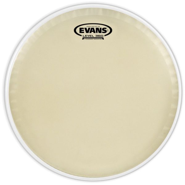 Evans CS14SS
