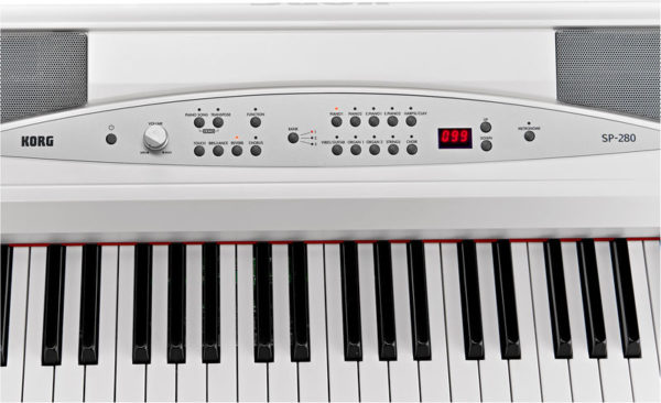 Korg SP-280-WH — изображение 3