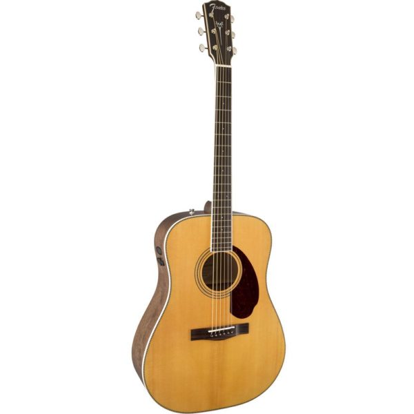 Fender PM-1 Standard Dreadnought Natural