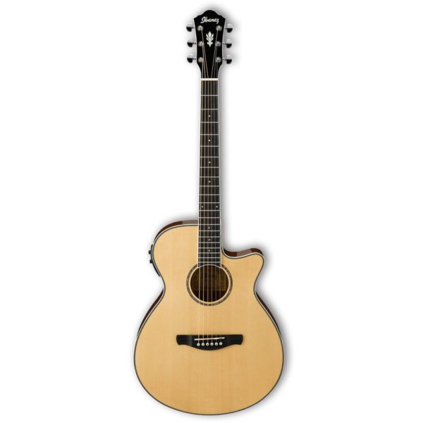 Ibanez AEG10II-NT