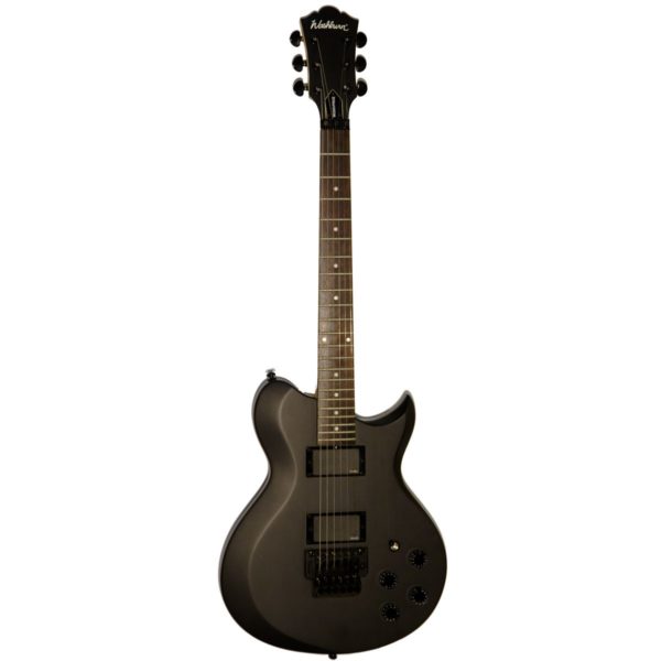 Washburn WI200VPROECK