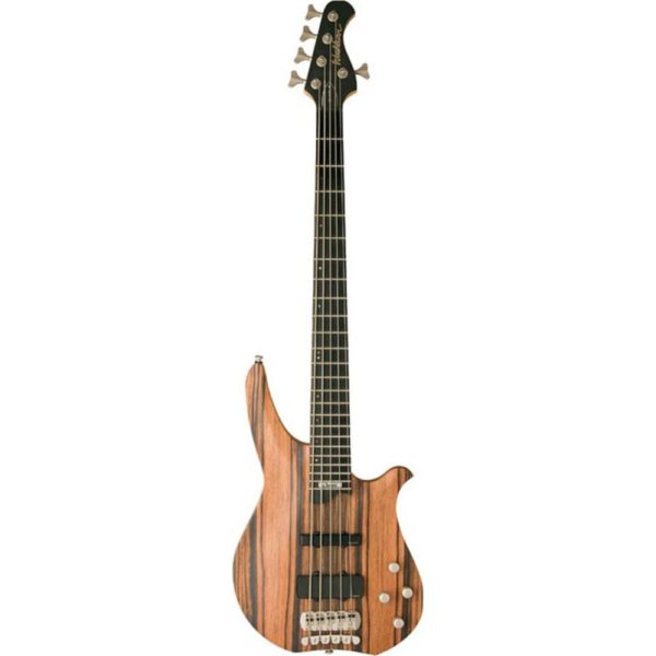 Washburn CB5 RG