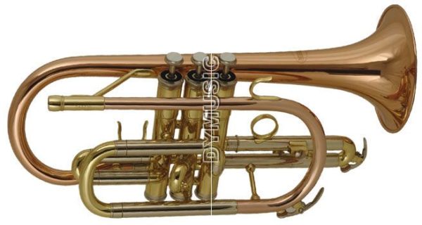 Wisemann DCT-500