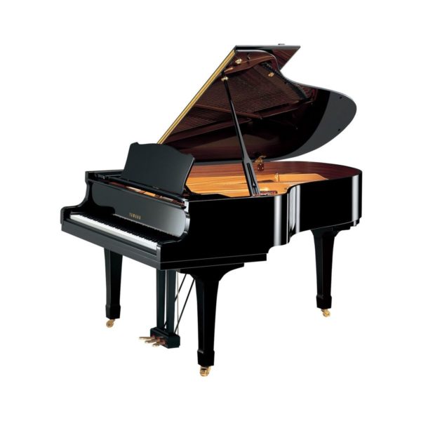 Yamaha C3 PE/ / X