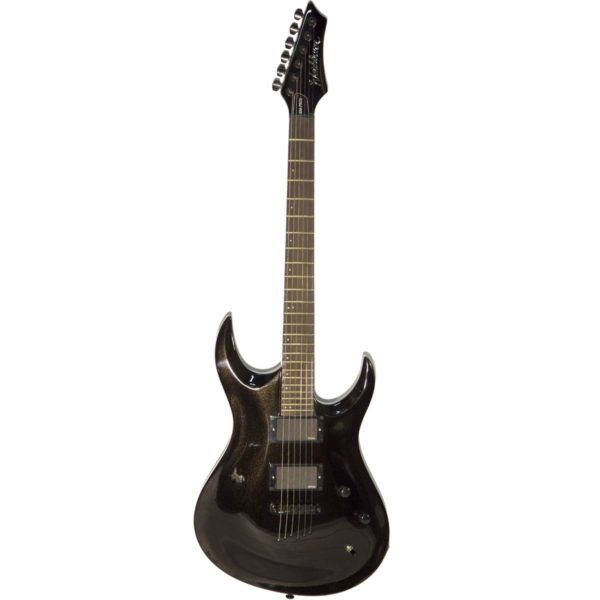 Washburn XMPRO2USE-PB