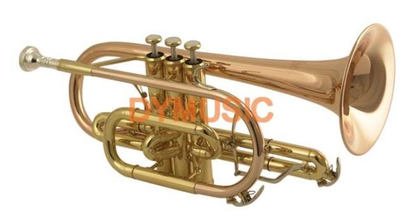 Wisemann DCT-650SP
