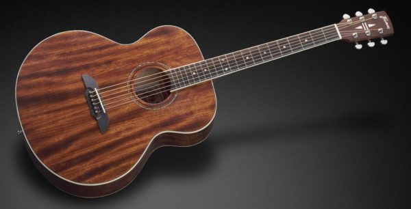 Framus FJ 14 M NS