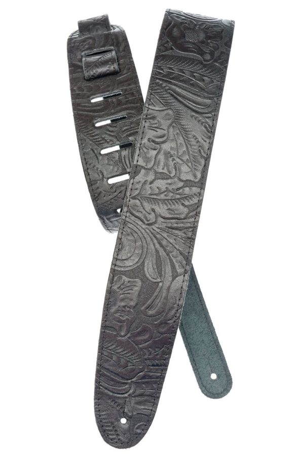 Planet Waves 25LE00
