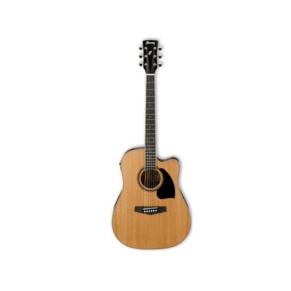 Ibanez PF17ECE-LG Dreadnought