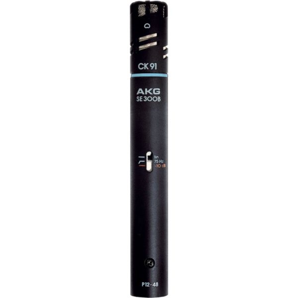 AKG C391B