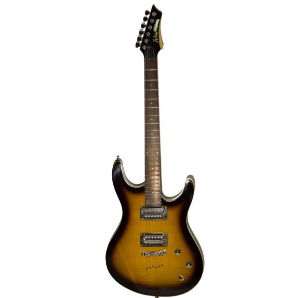 Washburn RX22F-BLB
