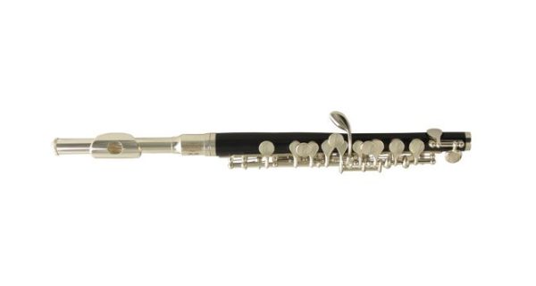 Wisemann DPL-200