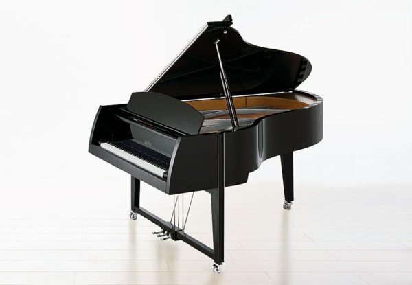 Sauter 210 Vivace Peter-Maly-Edition Maple Satined