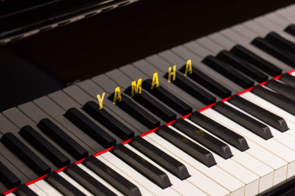 Yamaha C2S PE/ / X — изображение 3