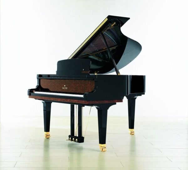 Sauter 185 Delta OS