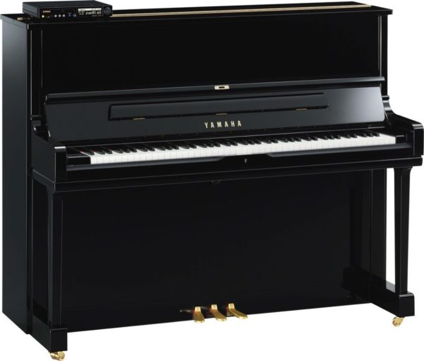 Yamaha DYUS1E3 PE