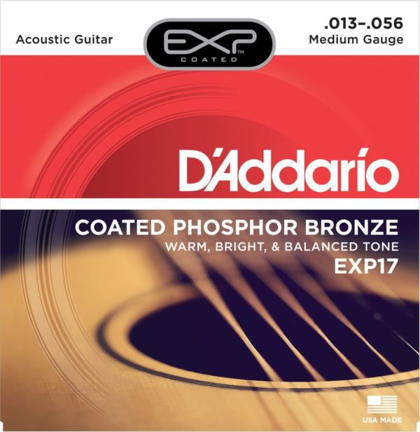 D`Addario EXP17