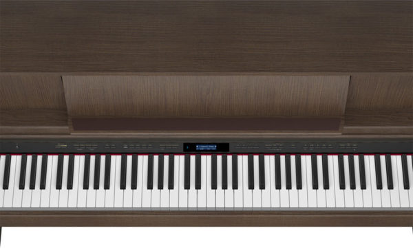 Roland LX-7-BW + KSC-84-BW — изображение 3