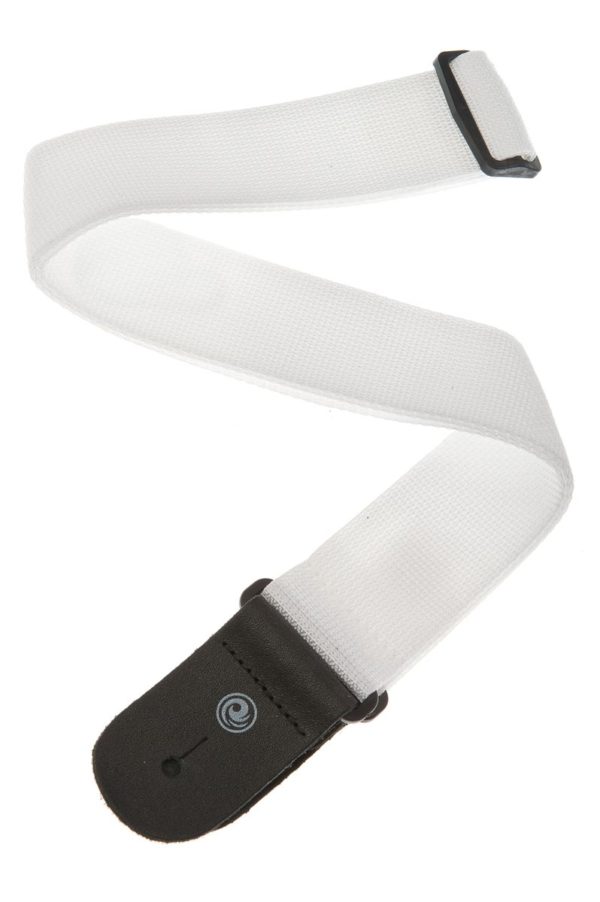 Planet Waves PWS-108