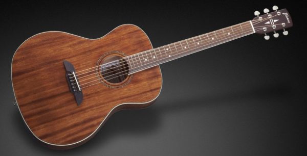 Framus FG 14 M NS