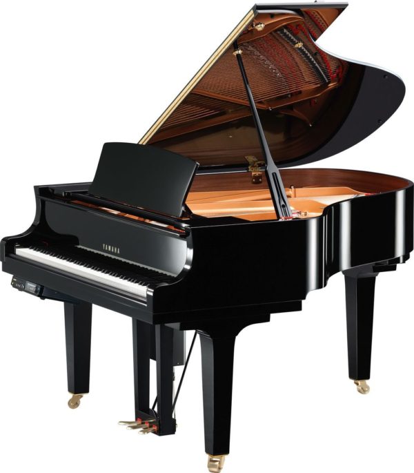 Yamaha DC2E3PE/ / X