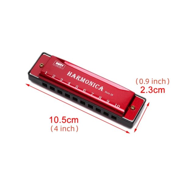 Диатоническая гармоника Harmonica с футляром для начинающих студентов — изображение 7