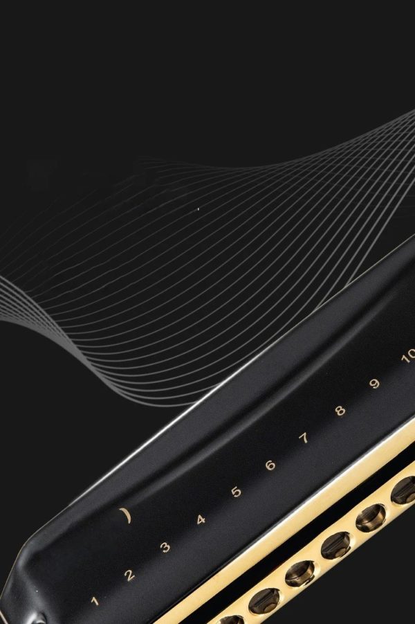 EASTTOP Dreamer 2,0 Версия 12 тонов профессиональная Хроматическая гармоника — изображение 2