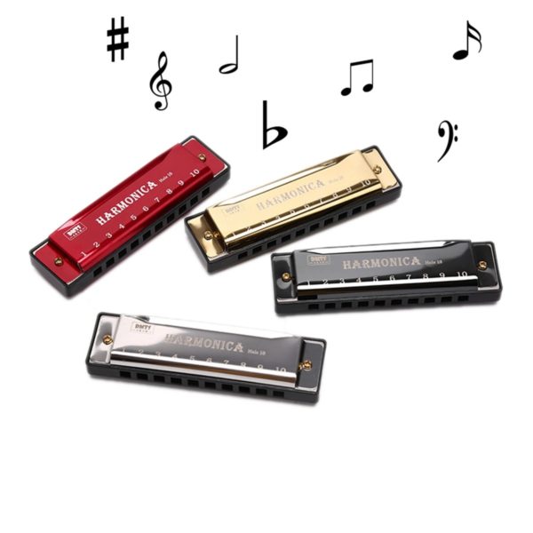 Диатоническая гармоника Harmonica с футляром для начинающих студентов — изображение 6