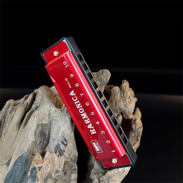 Диатоническая гармоника Harmonica с футляром для начинающих студентов — изображение 3